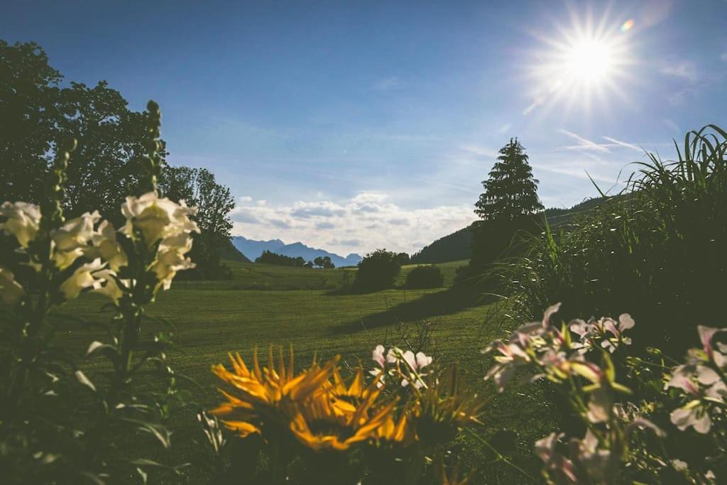 Fritzis Alpenidyll „Sommertraum & Winterromantik” Samerberg Εξωτερικό φωτογραφία