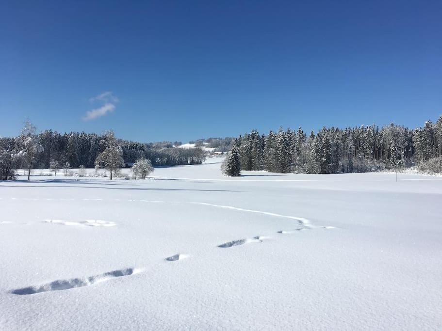 Fritzis Alpenidyll „Sommertraum & Winterromantik” Samerberg Εξωτερικό φωτογραφία